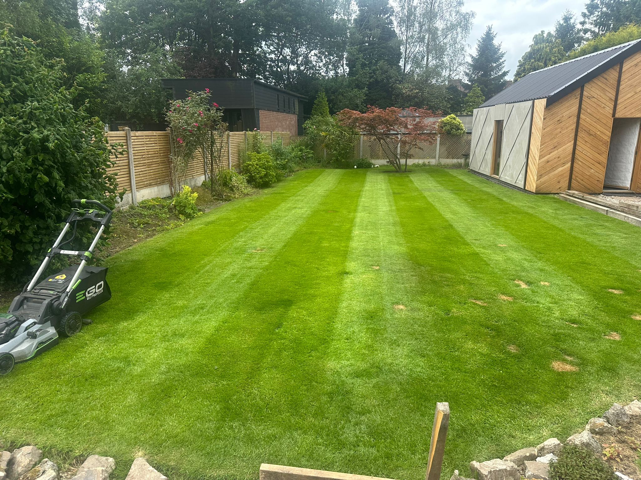Fresh Grass Cut