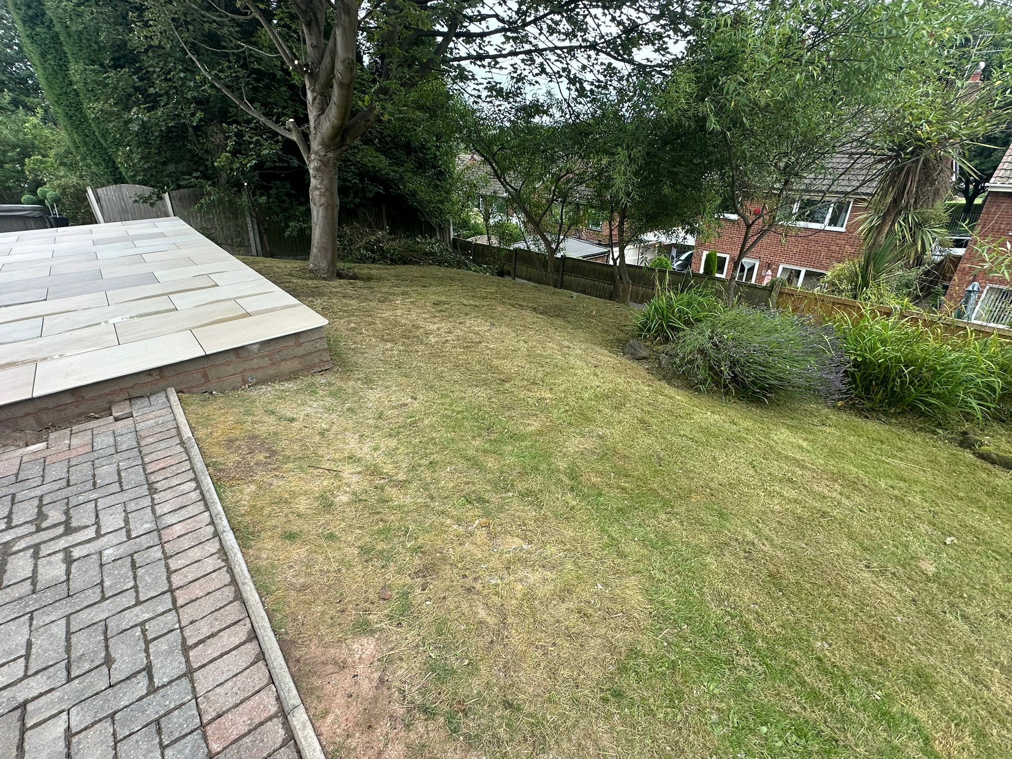 GrasstidyAFTER