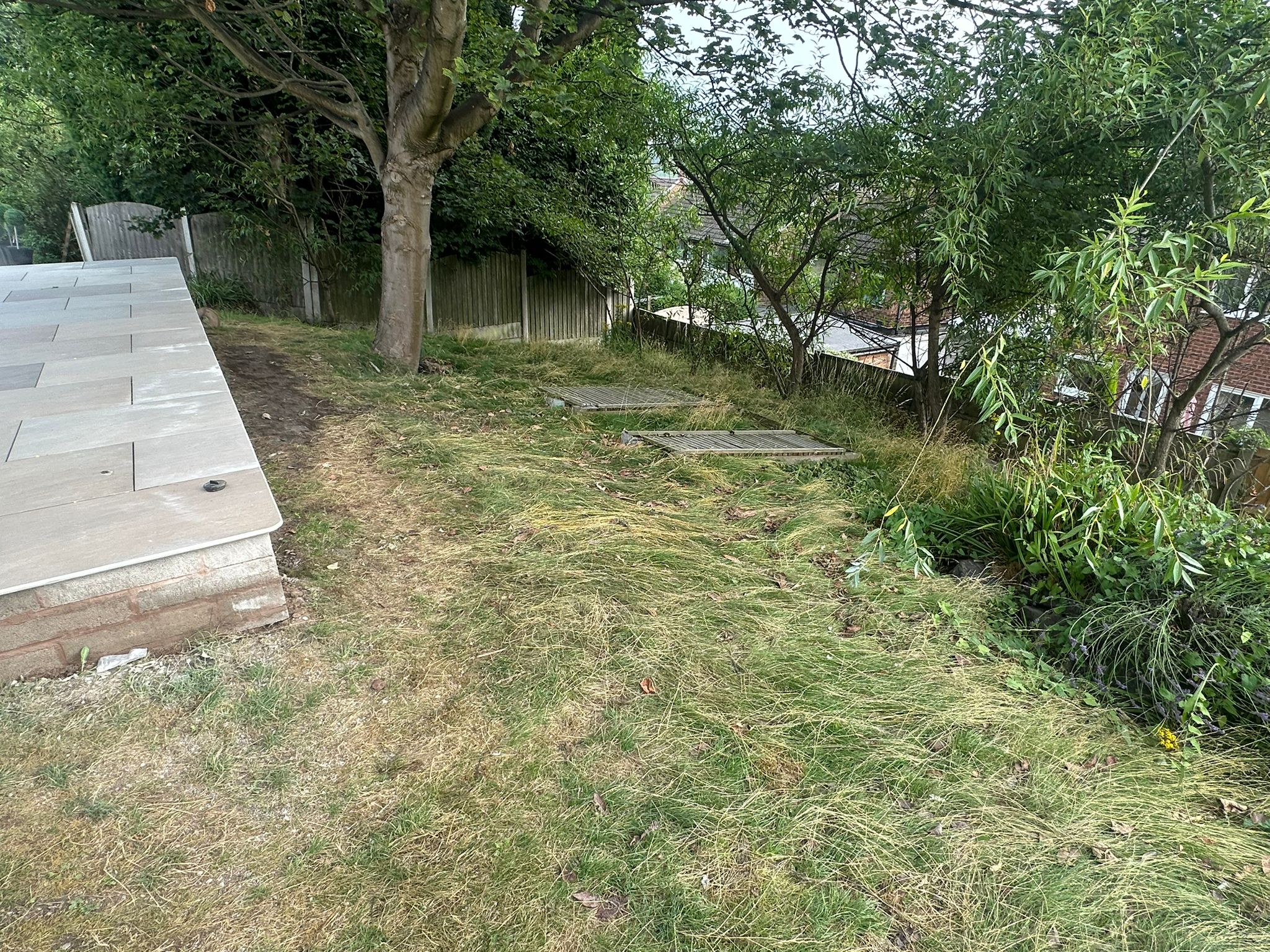 GrasstidyBEFORE