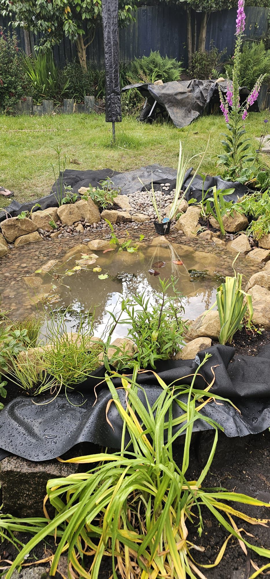 Garden pond cleaning and maintenance in Staffordshire