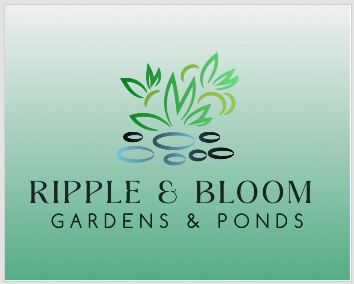 Rippleandbloom Logo 1