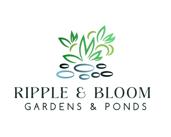 Ripple & Bloom